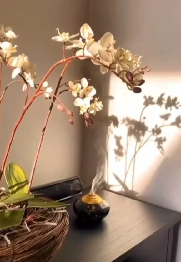 Orchid and incense aromatherapy setting